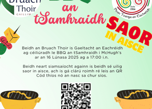 BBQ an tSamhraidh ag Tigh McHugh