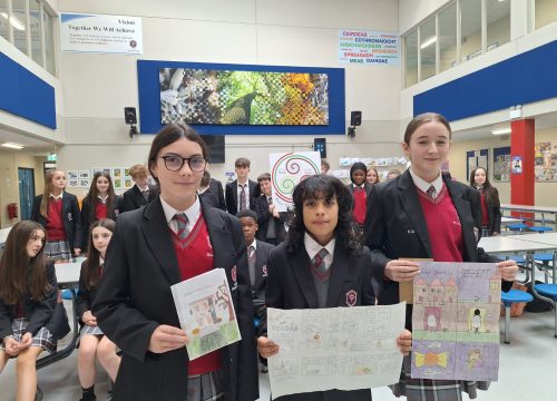 Ag glacadh leis an dúshlán cartúin i mBaile Chláir