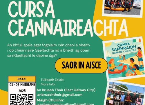 Looking for teenage leaders ‘as Gaeilge’