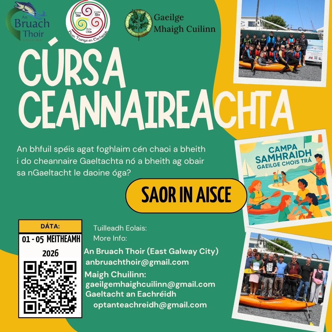 Looking for teenage leaders ‘as Gaeilge’